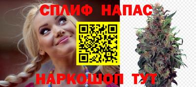 дмт Новозыбков
