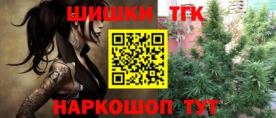 дмт Новозыбков