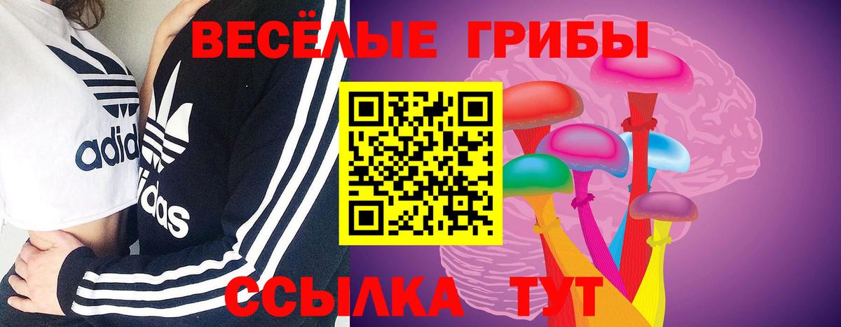 Галлюциногенные грибы мицелий Тайшет